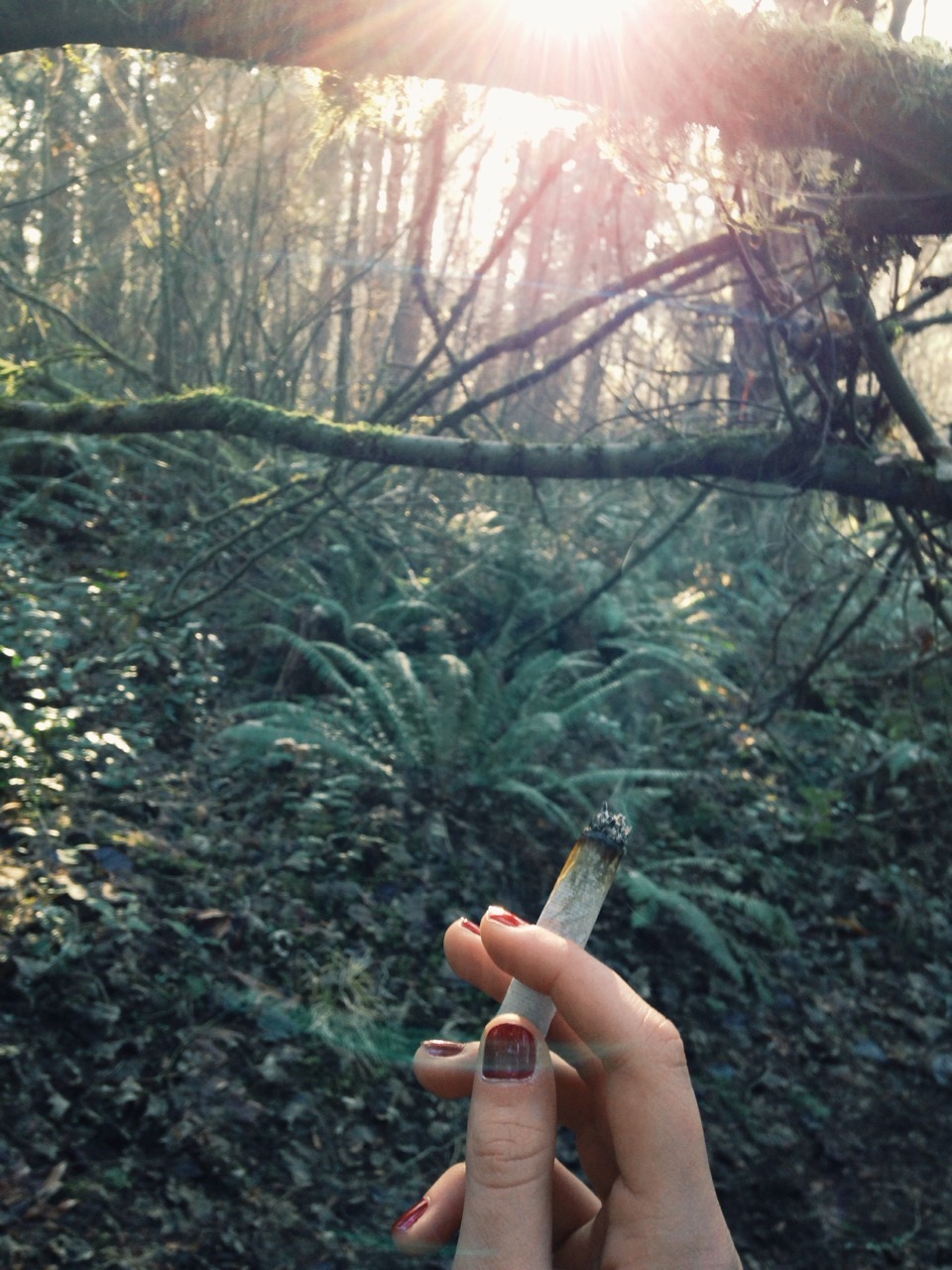 alice-mackenzie:  A perfect afternoon. 