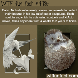 wtf-fun-factss:  Paper art sculptures by Calvin Nicholls - WTF fun facts