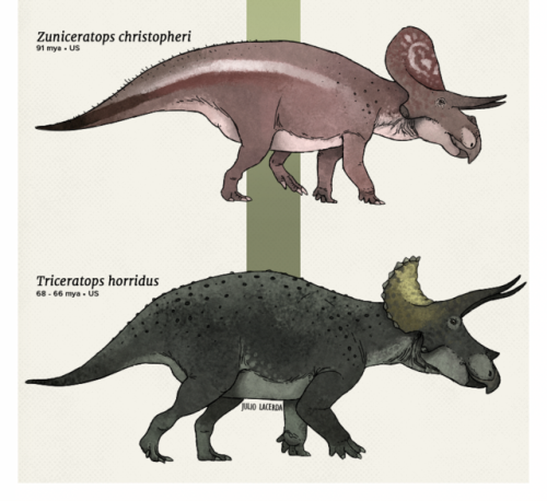 paleoart:Evolution Series: A Gang of Horned FacesCeratopsians are one of the most famous dinosaur gr