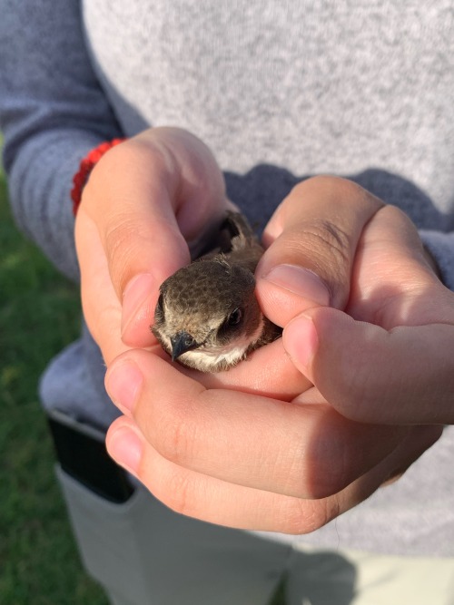 Day 24 Of Posting Cute Creatures We Found On Our Field Trip: