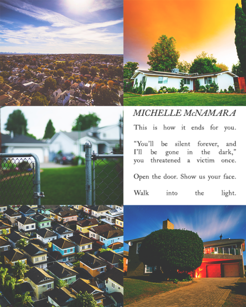 I’ll Be Gone in the Dark, Michelle McNamara