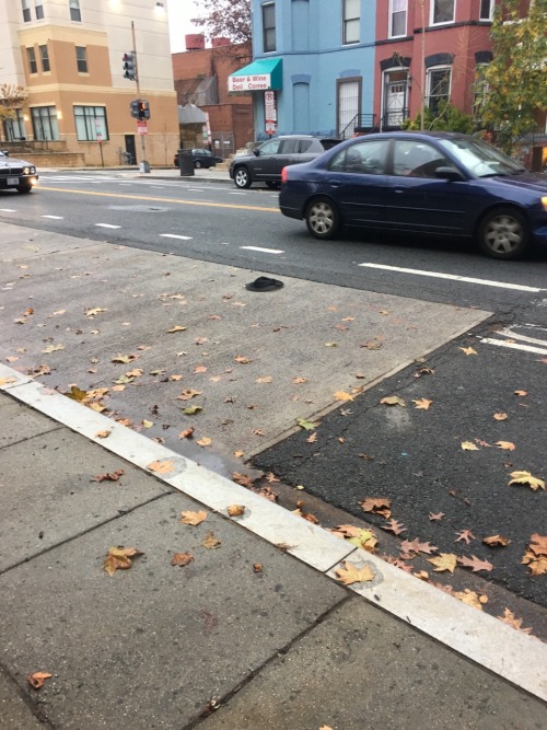 Two hats one black one brown Sit in the bike lane, waiting For the next strong gust.