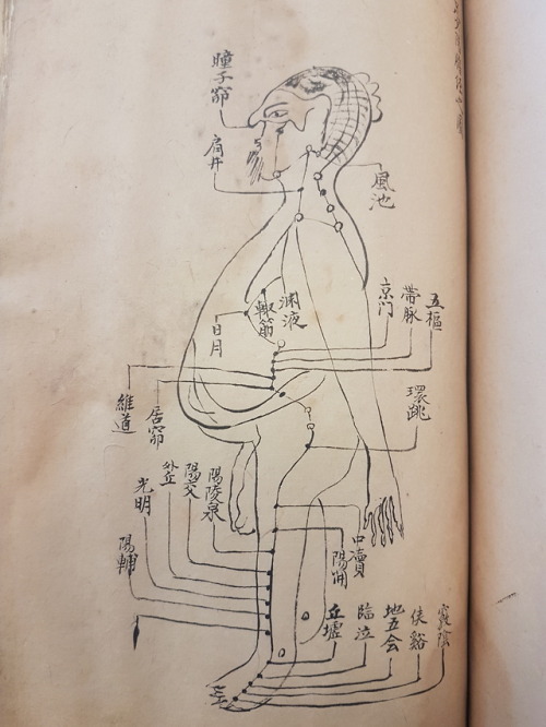 LJS 389 - [Shi si jing fa hui]This is a 14th-century treatise on the anatomy, physiology, and pathol