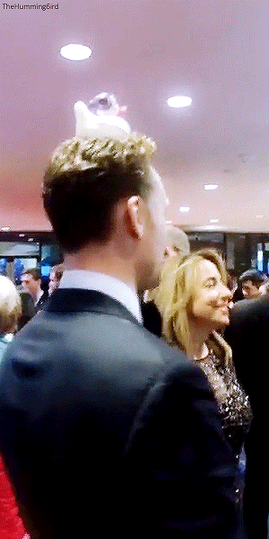 Tom Hiddleston entertaining everyone with a Princess Leia Rubber Duck at the White House Corresponde