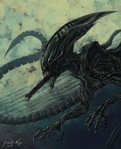 kynky:  Xenomorph by Surk3 