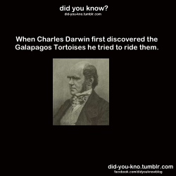 scaredshrekless:  did-you-kno:  Source  IM CHARLES DARWIN AND WELCOME TO JACKASS    My boyfriend says, Don&rsquo;t you mean &ldquo;Hi I&rsquo;m jackass and welcome to Darwinism&rdquo; Lmao so hard