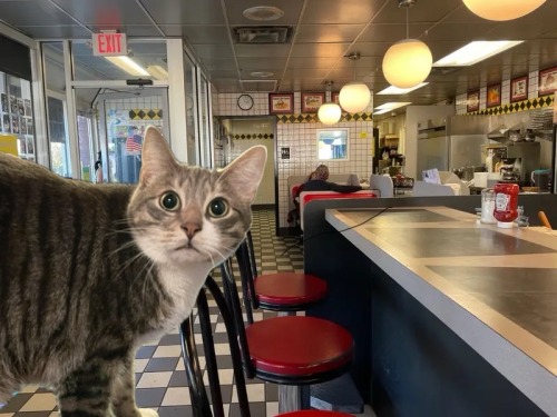 His Ass Does NOT Know What To Order