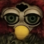fairyfurbyz