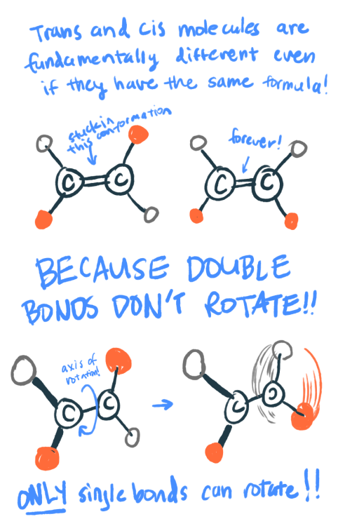 cyclopentadiene:  atomicallena:  scienceforebreakfast:  One example of how big a role isomers can play is talked about here: Radiolab: Mirror Mirror.  Some fantastic illustrations explaining the basic concepts regarding cis and trans.  Just a few things