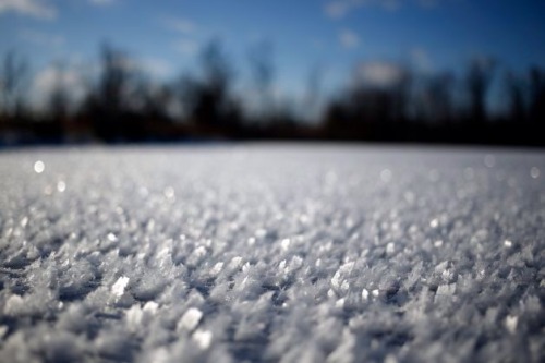 shoshanna37:  Chicago under ice, couple days ago. January 2014 