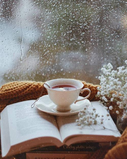 winterfallseason: Tea, Rain and Books