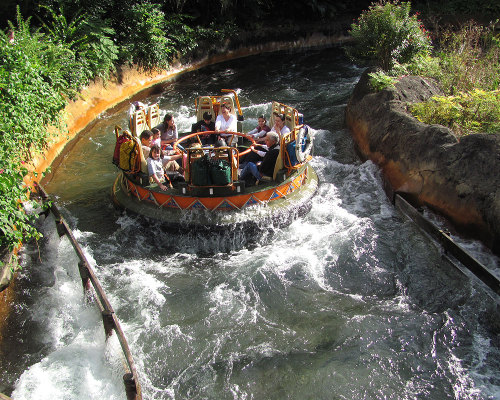 Did You Know? You ascend 90 feet at the beginning of the Kali River Rapids ride