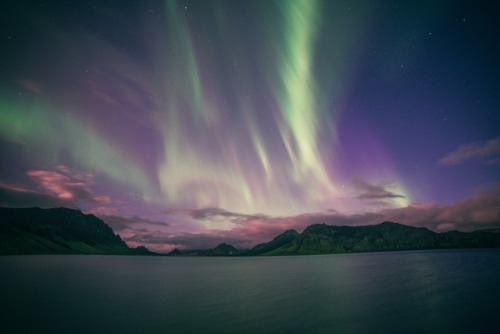 theendlessforest:  By Jonatan Pie