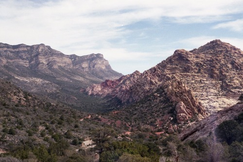 apassingbreeze:  hiking in red rock national park minolta xd-11, agfa vista plus 200iso film