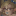 askalaiziathebluewitch:  iamsenshi:  glittergwapo:  guncharge:  thatwhiteshameremu: