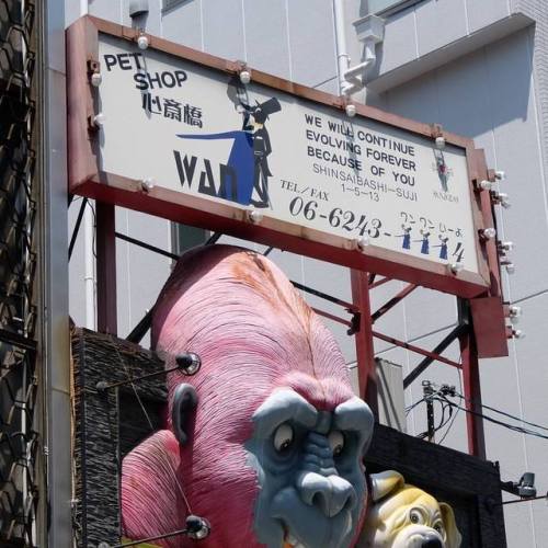 Pet shop #petshop #Japan #Osaka #Japanese #JapanSigns #signcollective #animals #gorilla #Shinsaibash