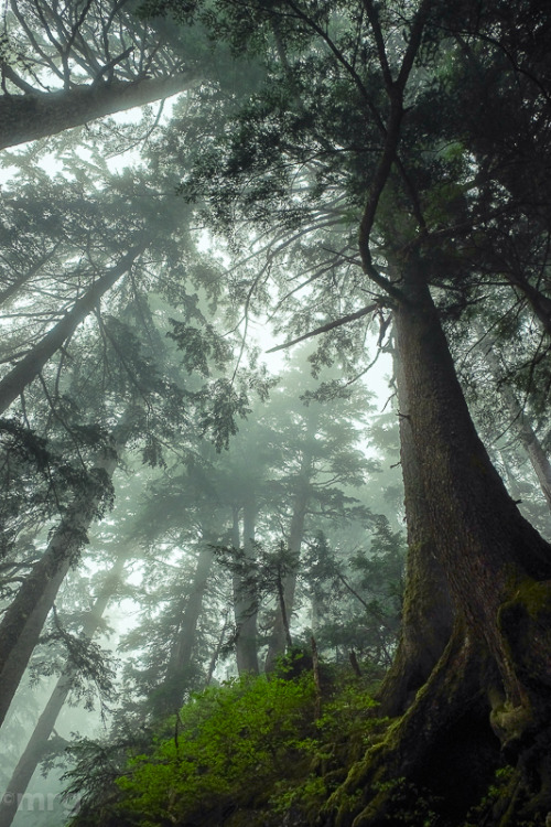 mauriciorg:Mount Seymour, BC