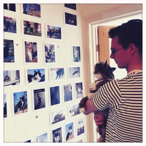 @simonbromley and Royal updating our wall edit#streetpussy #cat #gato #chat #katze #photography