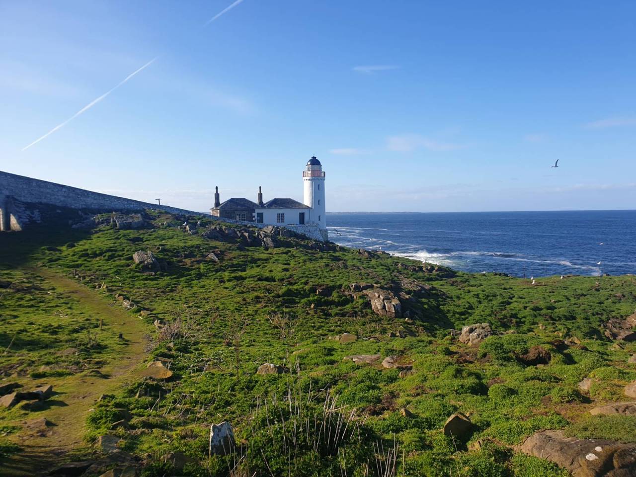 Photograph of a lighthouse on the green shores of an island.