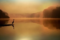 superbnature:  Serenity Found by RobertBlairPhotography http://ift.tt/1BAXmAI 