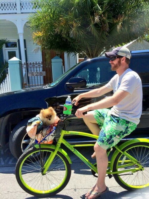 a-racecar-named-desire:Junior taking Junebug for a ride. Nice shorts there, Dale… Dale Jr has his ow