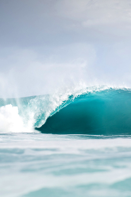 funkaah:  vineayl:  jungle-huts:  surf-fear:  photo by Brent Bielmann   hey cutie