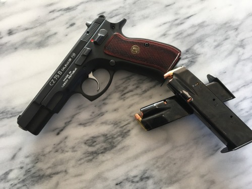 whiskey-gunpowder:CZ75b