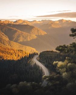 visitportangeles:  Hurricane Ridge in the autumn light, as captured by @kyle.fredrickson ✌🏻 https://ift.tt/2DBkdbG  Love having this as a back yard 