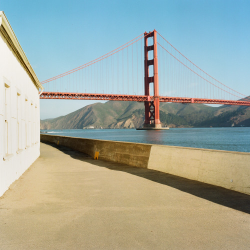 Crissy Field (locals just call it Crissy) is always bustling with tourists, except when you arrive e