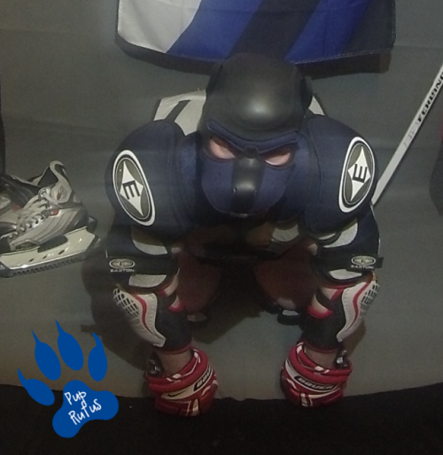 Rufus Showing Off In Some Ice Hockey Gear - Wanna Play (well, Maybe NOT On Ice.)?I Know, I Still Have