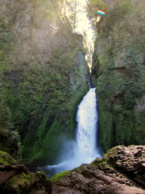 Wahclella Falls- Oregon April 2014