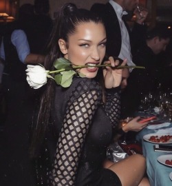 Bella Hadid