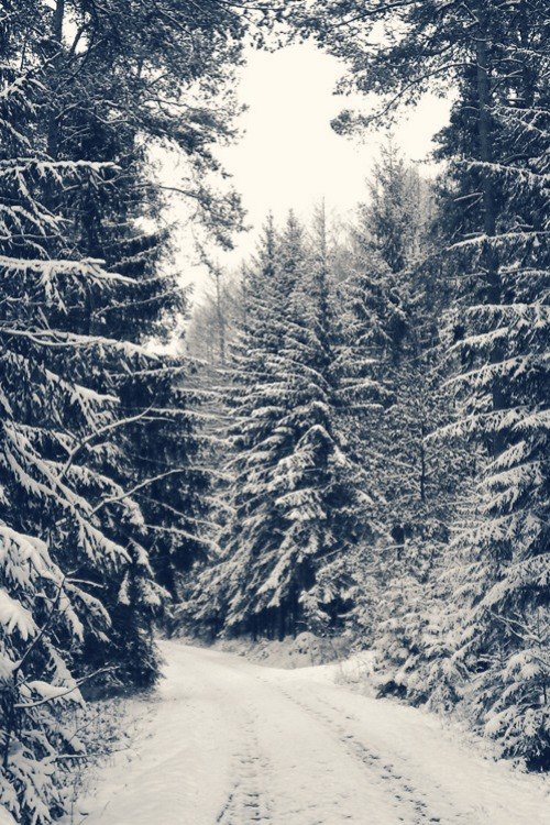 psycho path
