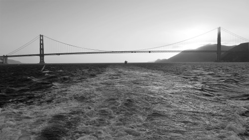 Sunset sailing in the Bay.