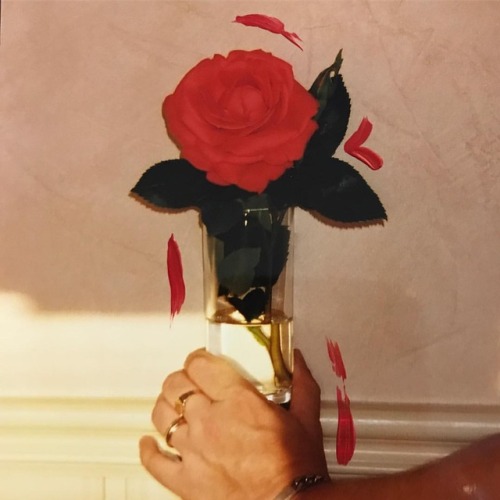 hirxeth:  Here. Here is simple and happy. That’s what I meant to give you. https://www.instagram.com/hirxeth/