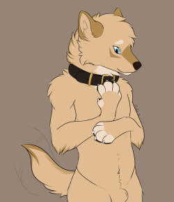 sweaterwolf: Gift Another old pic of Cookie