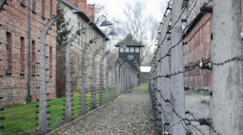 peremadeleine:27 January, 1945 | The liberation of AuschwitzNever shall I forget that smoke. &h