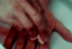 dontyouleavehimsamwisegamgee:  Intimate. 