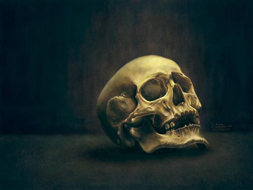 eatsleepdraw:  Skull study Photoshop CS6