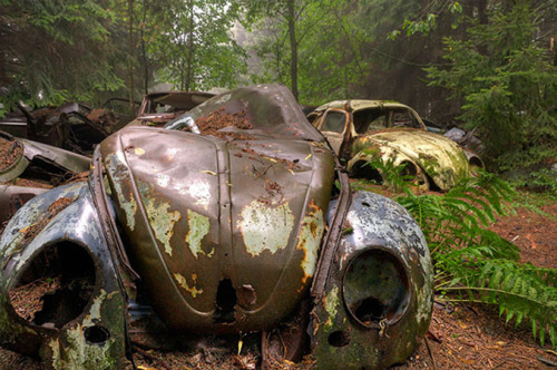 bobbycaputo:Spectacular 70-Year-Old Traffic Jam In A Belgian ForestPhotographed by Rosanne de Lange,
