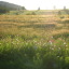 submissivegarden