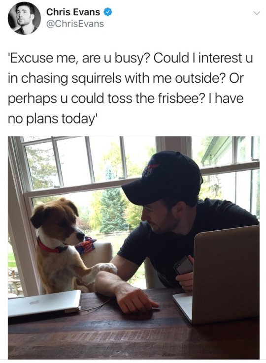 beardedchrisevans:@ChrisEvans: ‘Excuse me, are u busy? Could I interest u in chasing