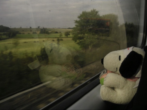 Snoopy On Tour By Paul Ceely On Flickr (2012)