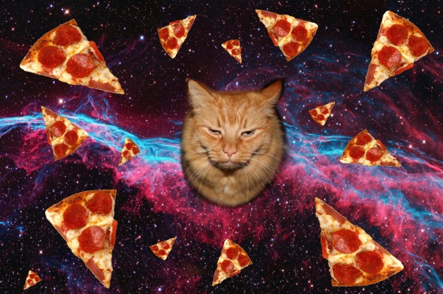 Keeping Tabs. on Tumblr: I may have put this together as my desktop  wallpaper...if anyone's wondering, that is my cat. Surrounded by pizza. In  space....