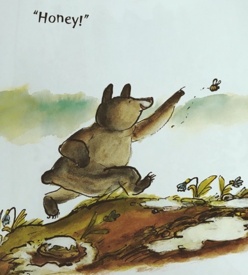 I was given the opportunity to review Honey, written and illustrated by David Ezra Stein, by @pengui