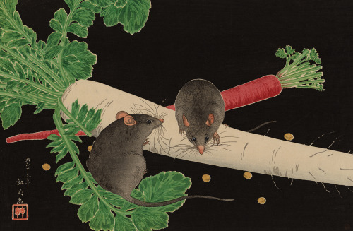 japaneseaesthetics:ARTIST: Takahashi, Hiroaki (Shotei) (1871-1945)TITLE: Mice, Radish, and CarrotMED