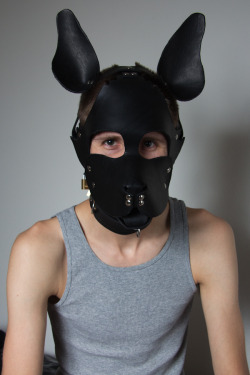 alphapupleo:  WOOF, I am a fellow pup, among many things the hood I am wearing I make my self. Who wants to put me in my hood lock on some fist mitts and insert a tail plug in my ass? I will be a good pup I promise, I don’t bite or smell to much and