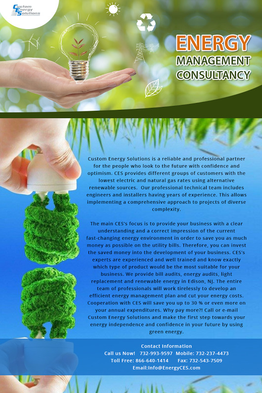 Hire the  Leading Energy Management Consultancy