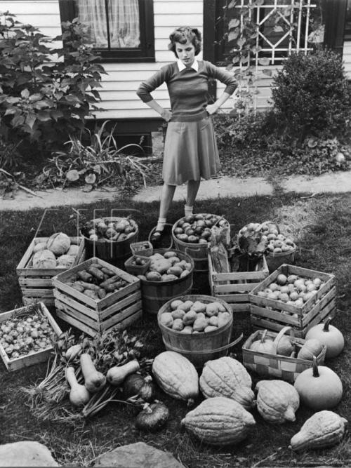 Woman looking at Victory Garden harvest waiting to be stored away for Winter.