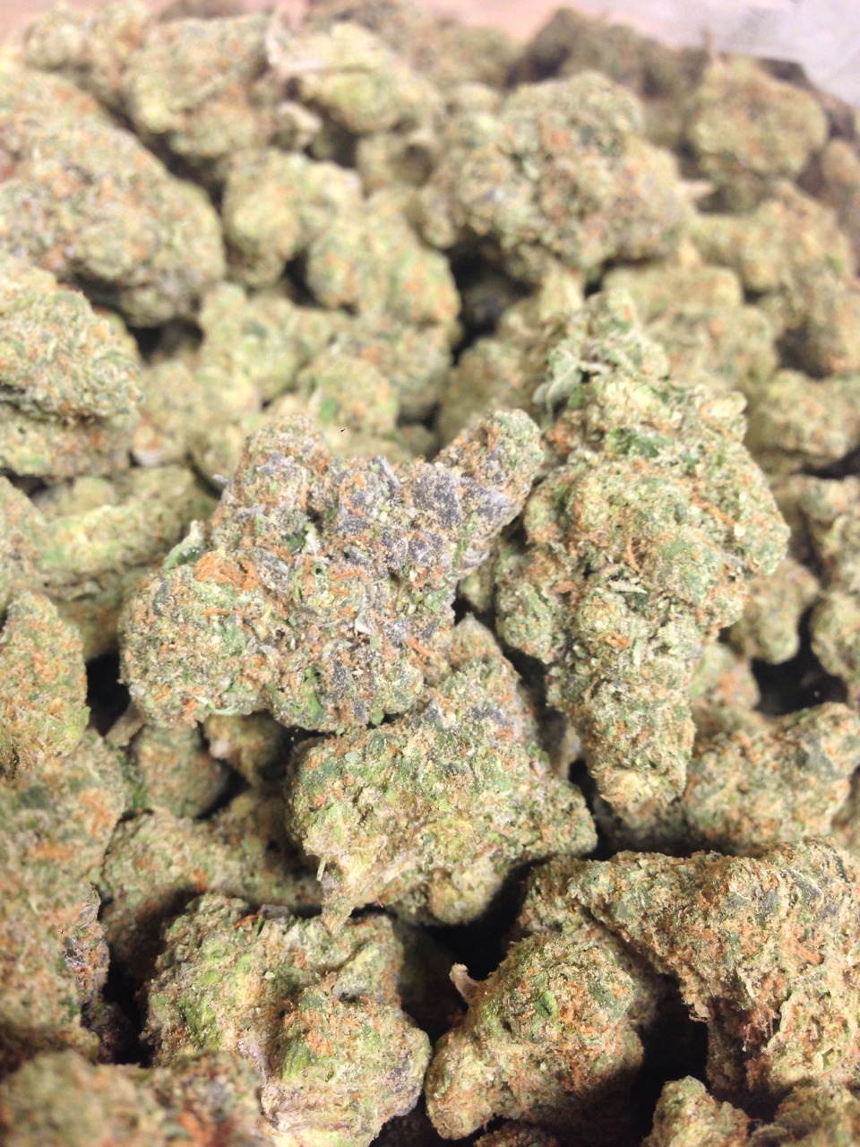 teelloo:  Girl Scout Cookies (Unedited) Durban poison x gdp x og kush 